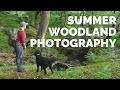 Photographing Woodland in Summer - Advice and Inspiration