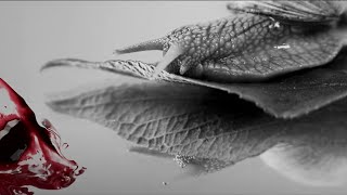 Martin Baltser - Eye Parade (Official Music Video)