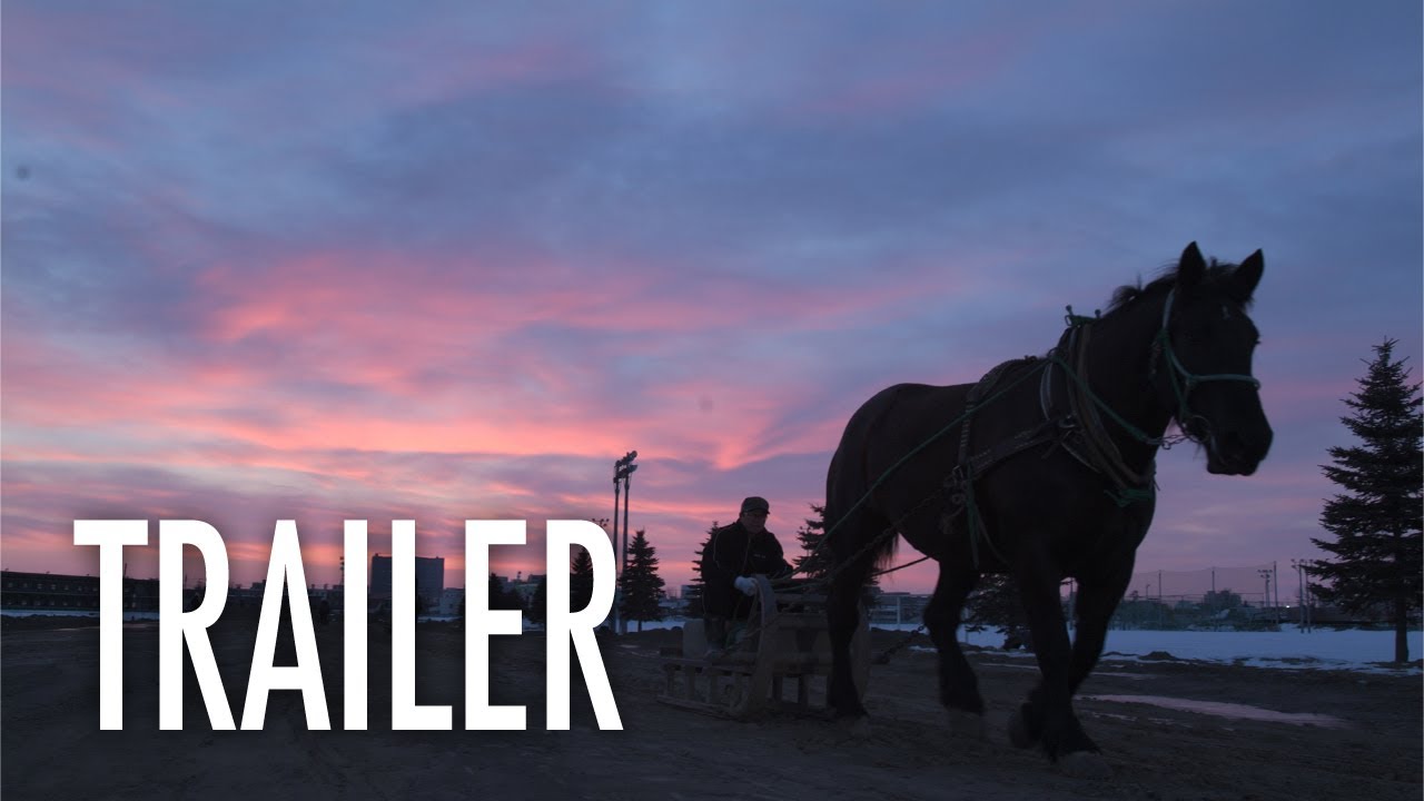 What the Snow Brings - OFFICIAL TRAILER - Japanese Drama