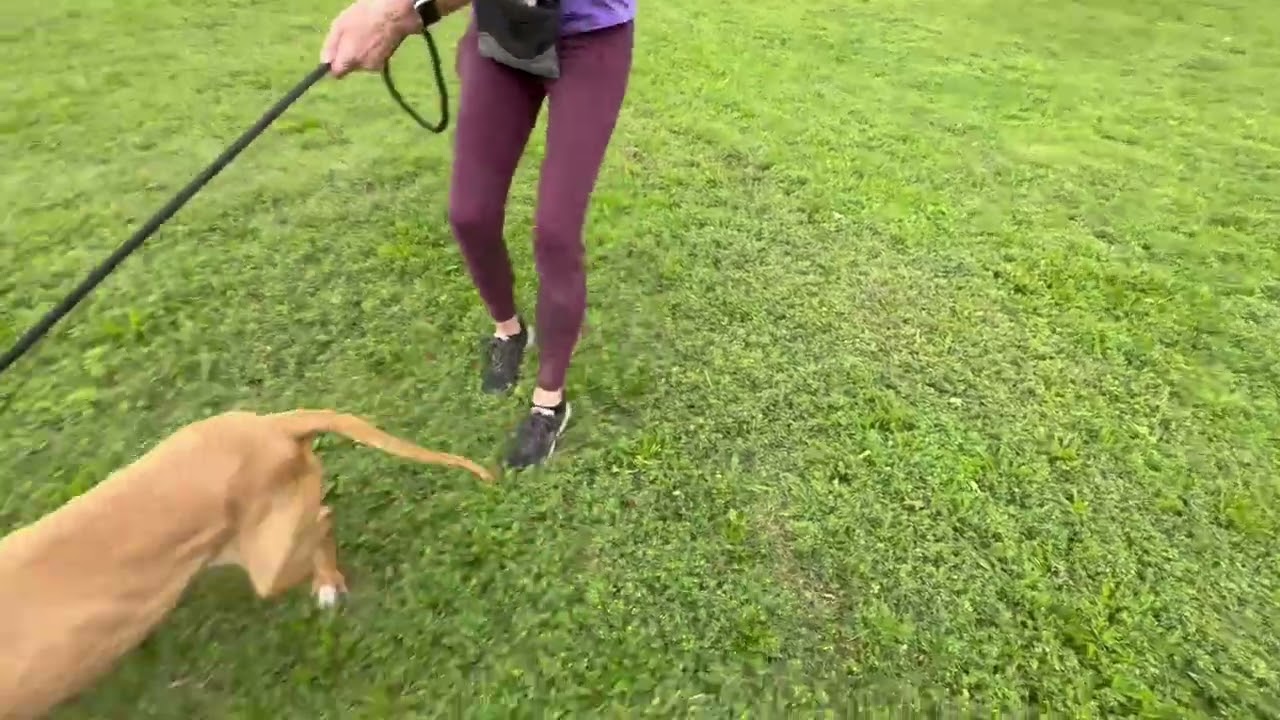 Pebbly video preview