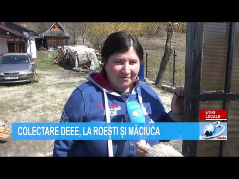 COLECTARE DEEE, LA ROEȘTI ȘI MĂCIUCA