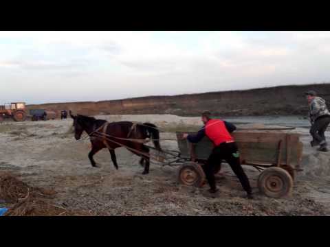 Iapa lui Cristi din Perii Brosteni