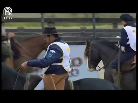 FICCC de Esteio (RS) – 1° e 2° lugar machos – Colibri Matrero e Ja Libertador (Prova: Campo II)