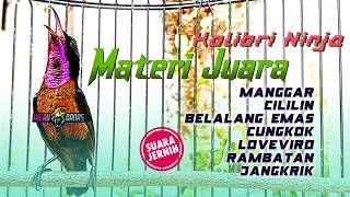 Download lagu MASTERAN KONIN GACOR MATERI MEWAH COCOK UNTUK KOLIBRI NINJA IJOAN DAN TROTOL mp3