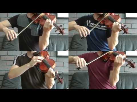 Stickerbush Symphony Cover - Donkey Kong Country 2