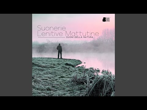 Non dormire stanotte