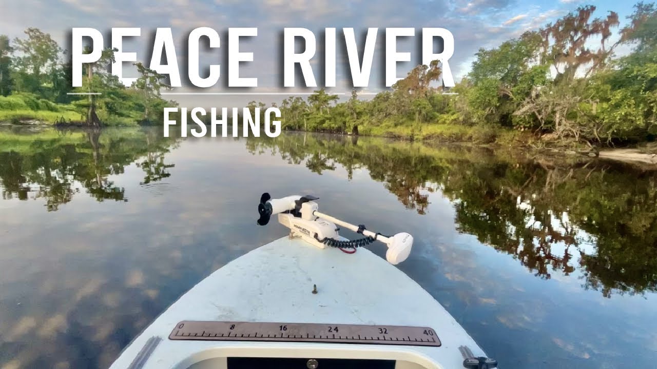Fishing on the Peace River - Florida