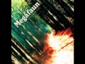 Worried Mind- Megafaun
