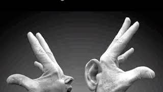 Download lagu Story lagu islami “ketika tangan dan kaki berkata” mp3 Download lagu Story lagu islami “ketika tangan dan kaki berkata” mp3