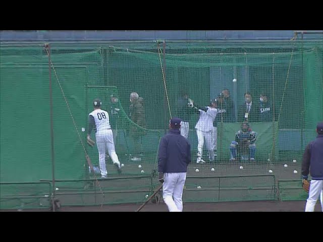 【春季キャンプ】おっとあぶない!! ライオンズ・源田壮亮の鋭い打球がランナーを襲う!!  2023年2月9日 埼玉西武ライオンズ