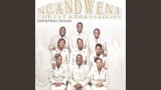 Download lagu Ngizoba nawe mp3