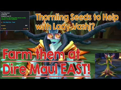 Vashj Phase 3 Spore Puddles with EASE! Thornling Seed Farm: Dire Maul East