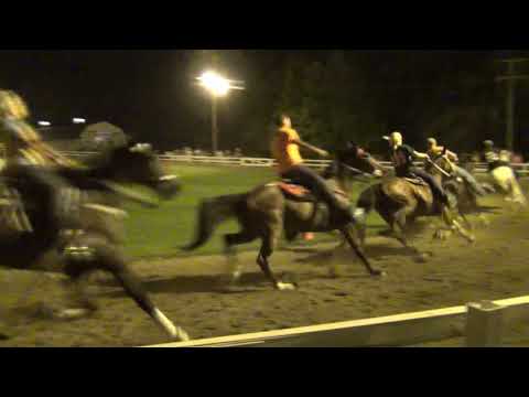 Mares & Geldings Pacing Spring Branch Show August 4, 2018