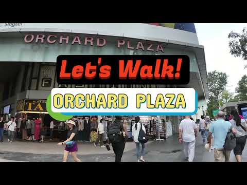 Orchard Plaza, 150 Orchard Road, 452 sqft, Mall Shop For Rent, by Alvin Chua, 500153525 - CommercialGuru.com.sg