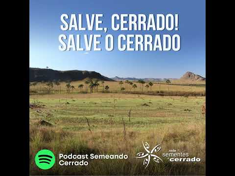 Salve, Cerrado! Salve o Cerrado – iniciativas de conservação e restauração (Podcast Semeando)