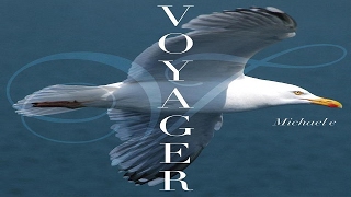 Michael E - Voyager  (The Album (Taster Mix))  *k~kat chill café*   The Smooth Loft