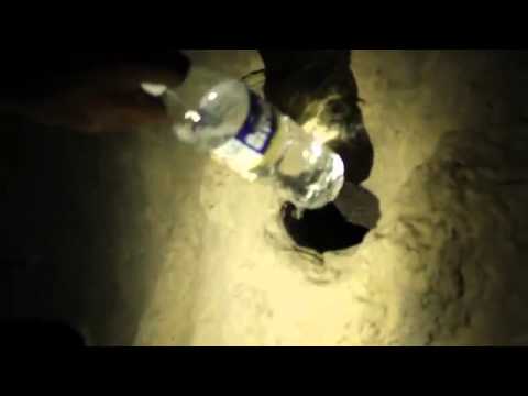 Farebucket - Secret Underground City of Ellora Caves