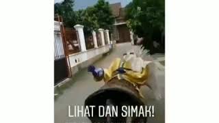 Download lagu Video lucu Koe tak sayang sayang • Story Wa mp3 Download lagu Video lucu Koe tak sayang sayang • Story Wa mp3