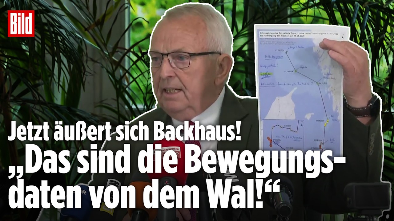 WAL TIMMY: Till Backhaus äußert sich zur Walrettung! Tracker hat tagelang Daten geliefert!