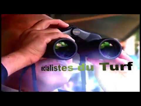 LES SPÉCIALISTES DU TURF - 22nd Meeting - The Maiden Cup 2018