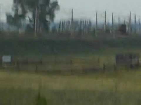 Trenurile Regio 5243 si R 5610 trec prin Liteni .