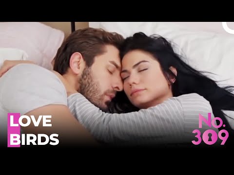 Admit It, You Can't Live Without Me - No.309