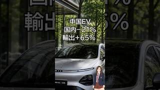 国内−21%、輸出+65% 中国EVを襲う「外熱内冷」