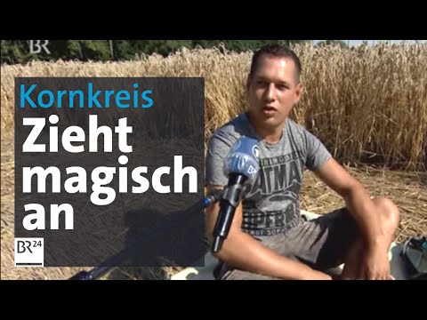 Wunderschön magisch - noch ein Video vom Kornkreis am Ammersee | Abendschau | BR24