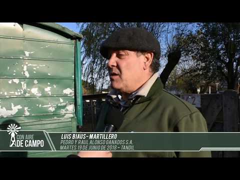 Luis Biaus - Pedro y Raúl Alonso Ganados S.A - Martes 19 de junio de 2018 - Tandil