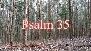 A reading of Psalm 35 from the New Living Translation