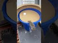 Shocking! Mouse rushes into , can it s.. today!? #cat #catandmouse #trending