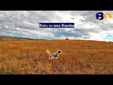 El 𝐟𝐮𝐭𝐮𝐫𝐨 ya es 𝗽𝗿𝗲𝘀𝗲𝗻𝘁𝗲✨ Media Veda 2024