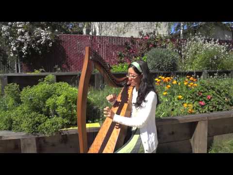 O'Carolan: Planxty Fanny Power (Celtic Harp)