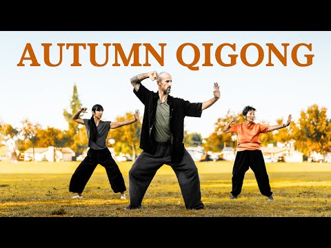 20-Minute to Boost Your Immune System I Qigong for Beginners