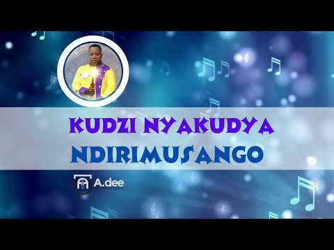 Ndirimusango - Kudzi Nyakudya