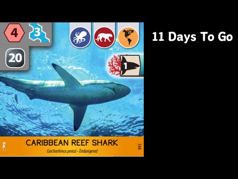 Ark Nova | time to prepare for Marine World