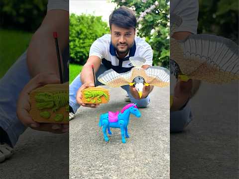 Purana Bald Eagle Bird and Naya RC Ghoda Unboxing🦅🏇