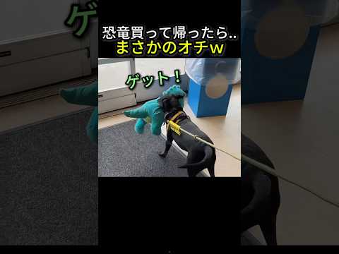 恐竜ゲットして帰ったら…まさかのオチｗ