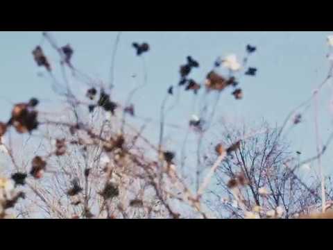 Meander by Jo David Meyer Lysne & Mats Eilertsen, ØRA FONOGRAM 01/12/17