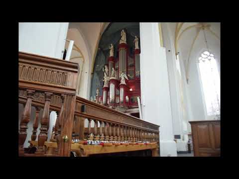 Improvisatie | Psalm 122 vers 3 en 1 | vanuit de Grote of St. Stephanus Kerk te Hasselt
