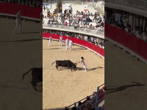 ARTABAN de Cavallini et Ismaël Oukharti à Lunel ce 6 avril 2026