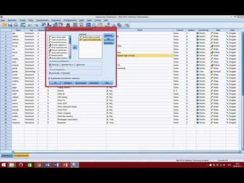 Punktbiserale Korrellation in Spss berechnen