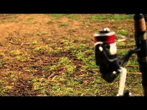 Carpkings Shortsessions im Sommer 2014