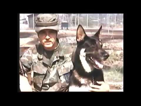 War Dogs Of Vietnam