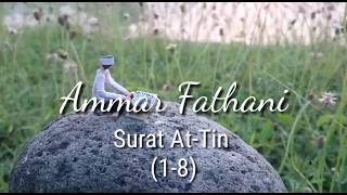 Download lagu Ammar Fathani - Surat At-Tin (Ayat 1-8) mp3 Download lagu Ammar Fathani - Surat At-Tin (Ayat 1-8) mp3
