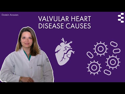 The Causes of Valvular Heart Disease