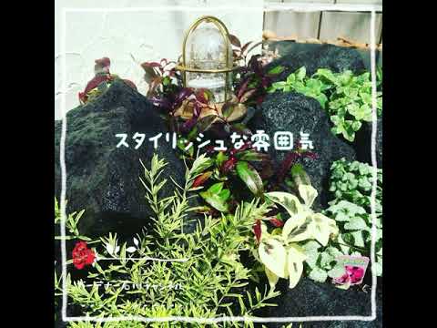  30 の印象的な例によるロック ガーデンのデザイン!  庭園