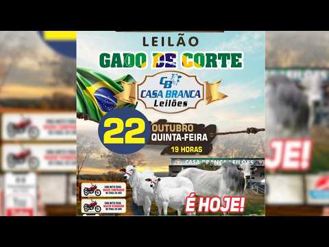 LEILÃO GADO DE CORTE CASA BRANCA LEILÕES -  CAMPINORTE - GO  22 /10 / 2026