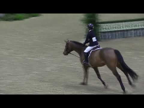 Video of MTM VIPER ridden by IZZY J. BEISEL from ShowNet!