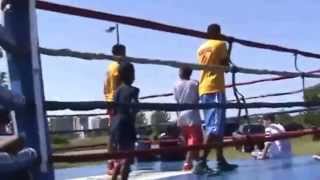 Metro Detroit Youth Day "2015" At Belle Isle Park...Detroit, Michigan